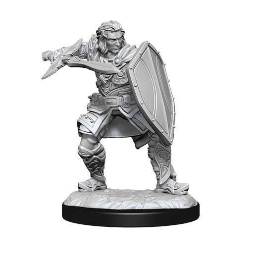 Pop Weasel Image of D&D Nolzurs Marvelous Unpainted Miniatures Human Paladin Male