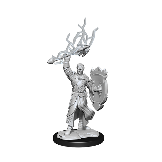 Pop Weasel Image of D&D Nolzurs Marvelous Unpainted Miniatures Half-Elf Paladin Male
