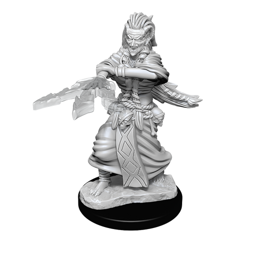 Pop Weasel Image of D&D Nolzurs Marvelous Unpainted Miniatures Night Hag & Dusk Hag