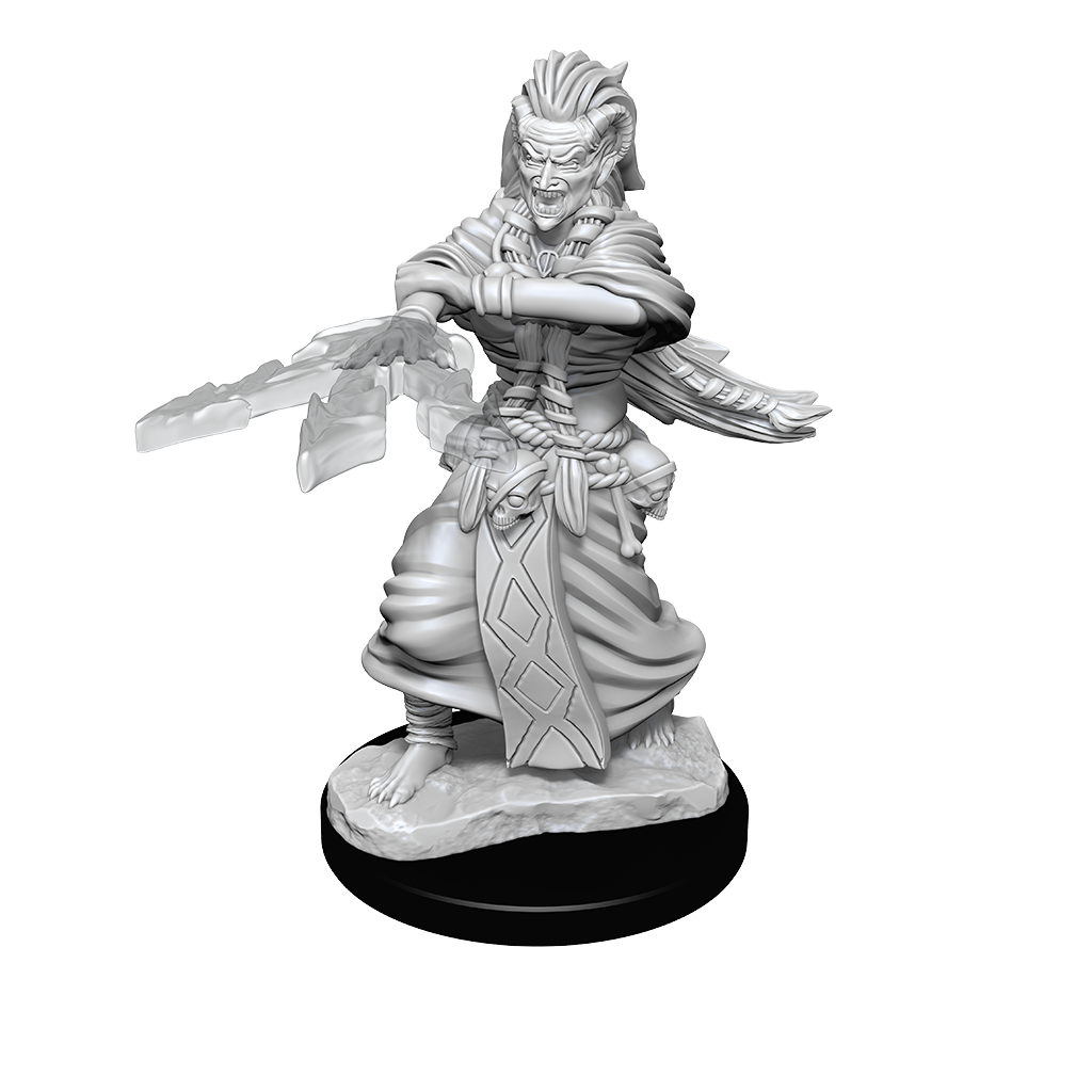 Pop Weasel Image of D&D Nolzurs Marvelous Unpainted Miniatures Night Hag & Dusk Hag