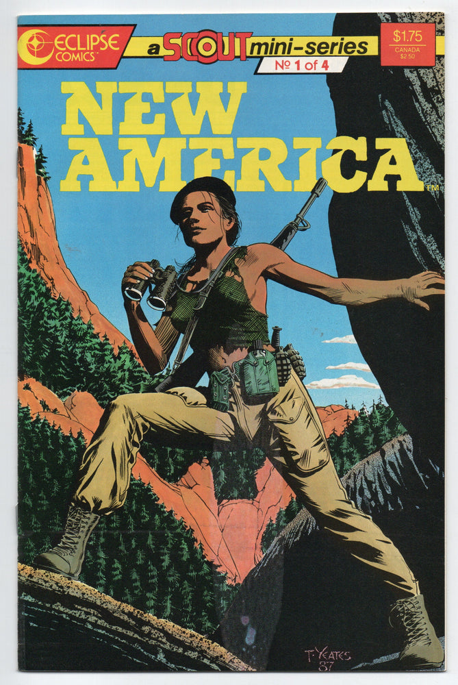 Pre-Owned - New America - Pre-Owned Comics - Image - Pop Weasel