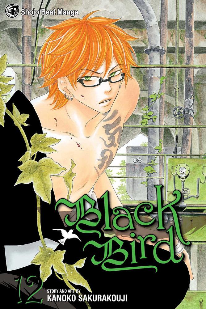 Black Bird, Vol. 12 - Manga - Image - Pop Weasel