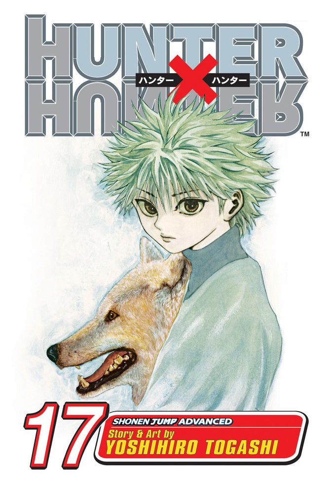 Front Cover Hunter x Hunter, Vol. 17 ISBN 9781421510736 - Manga - Image - Pop Weasel