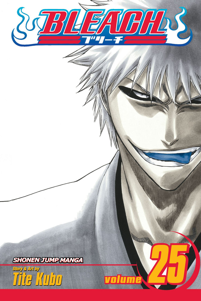 Bleach, Vol. 25 - Manga - Image - Pop Weasel