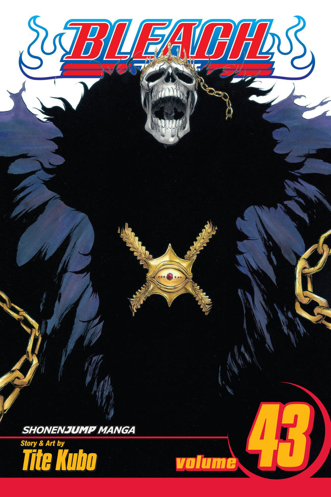 Bleach, Vol. 43 - Manga - Image - Pop Weasel