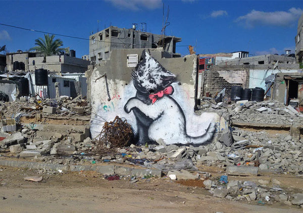 Pop Weasel Image of Gaza Kitten Poster