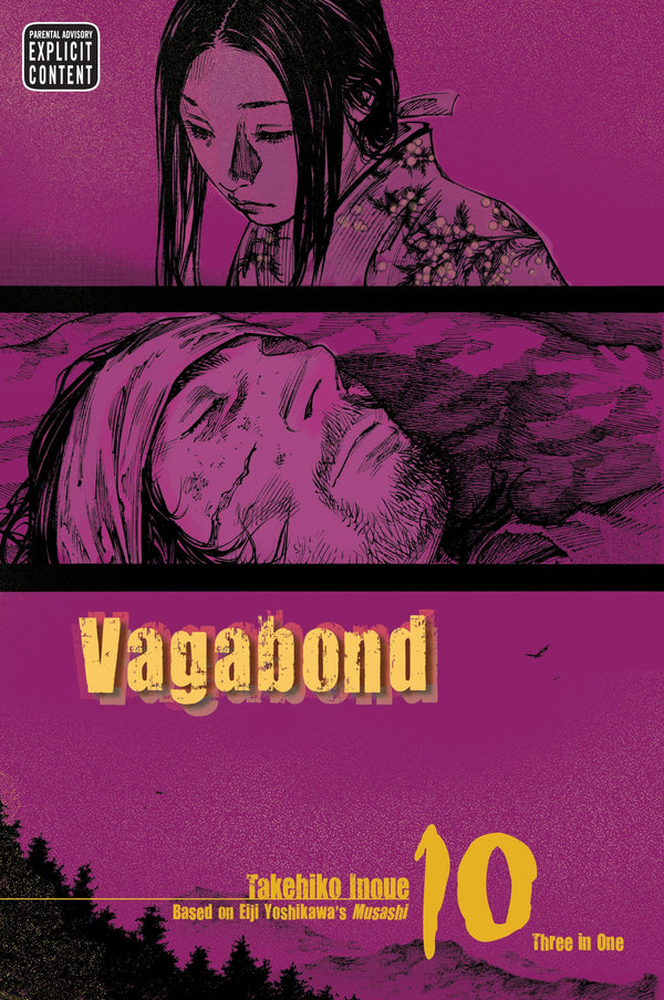 Front Cover - Vagabond (VIZBIG Edition), Vol. 10 - Pop Weasel