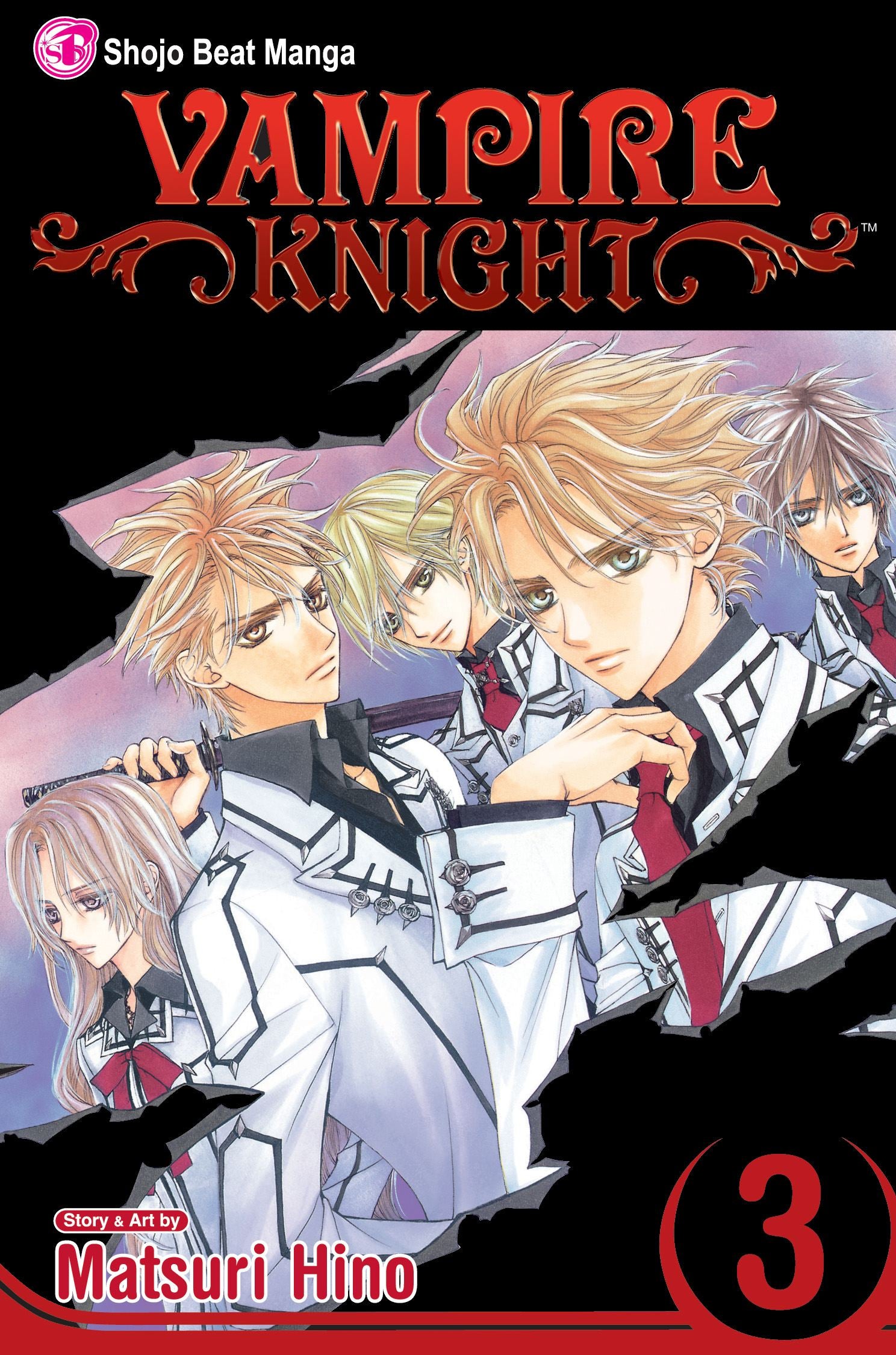 Vampire Knight, Vol. 03