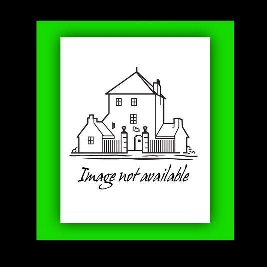 Pop Weasel Image of Negima Volume 12