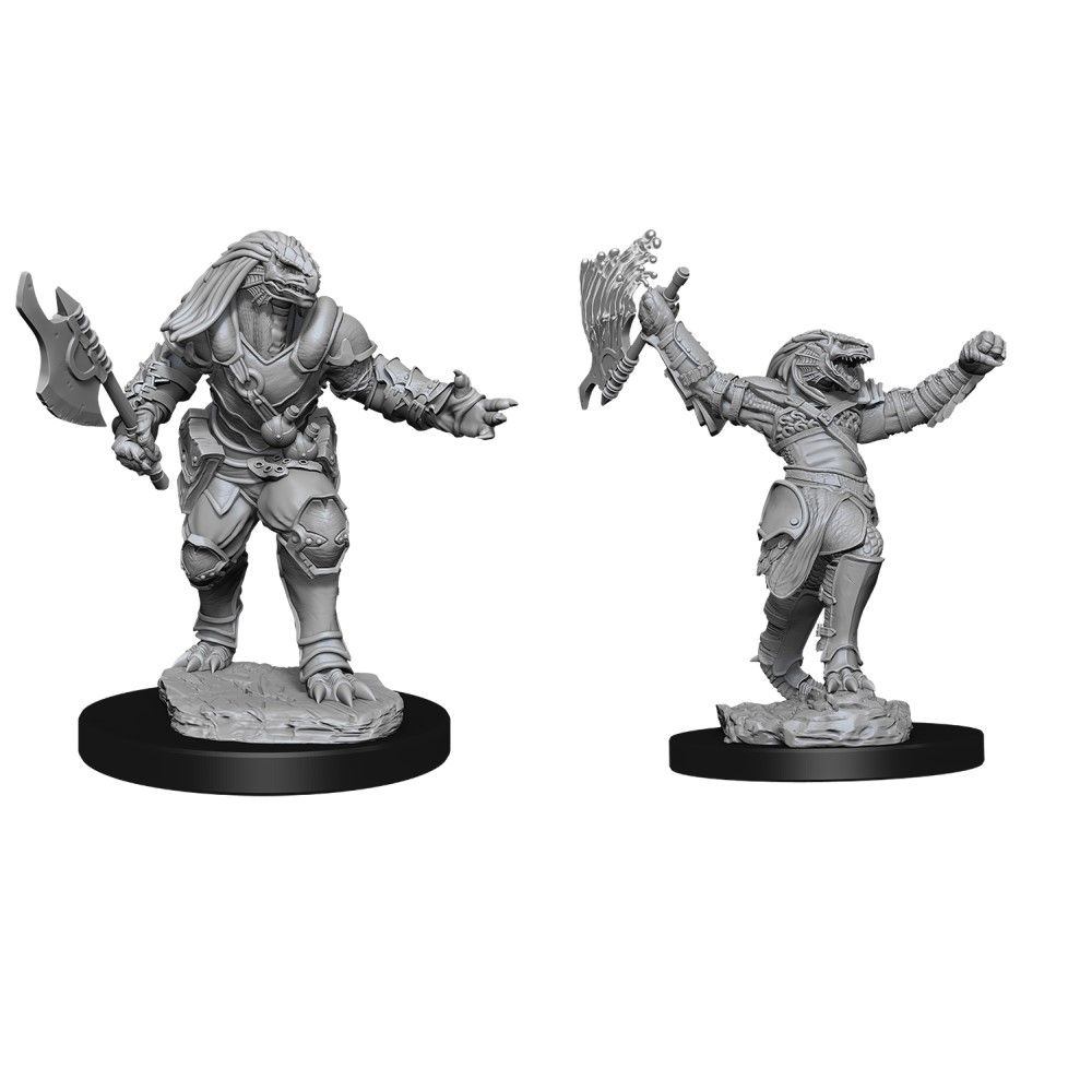 Pop Weasel Image of D&D Nolzurs Marvelous Unpainted Miniatures Female Dragonborn Fighter